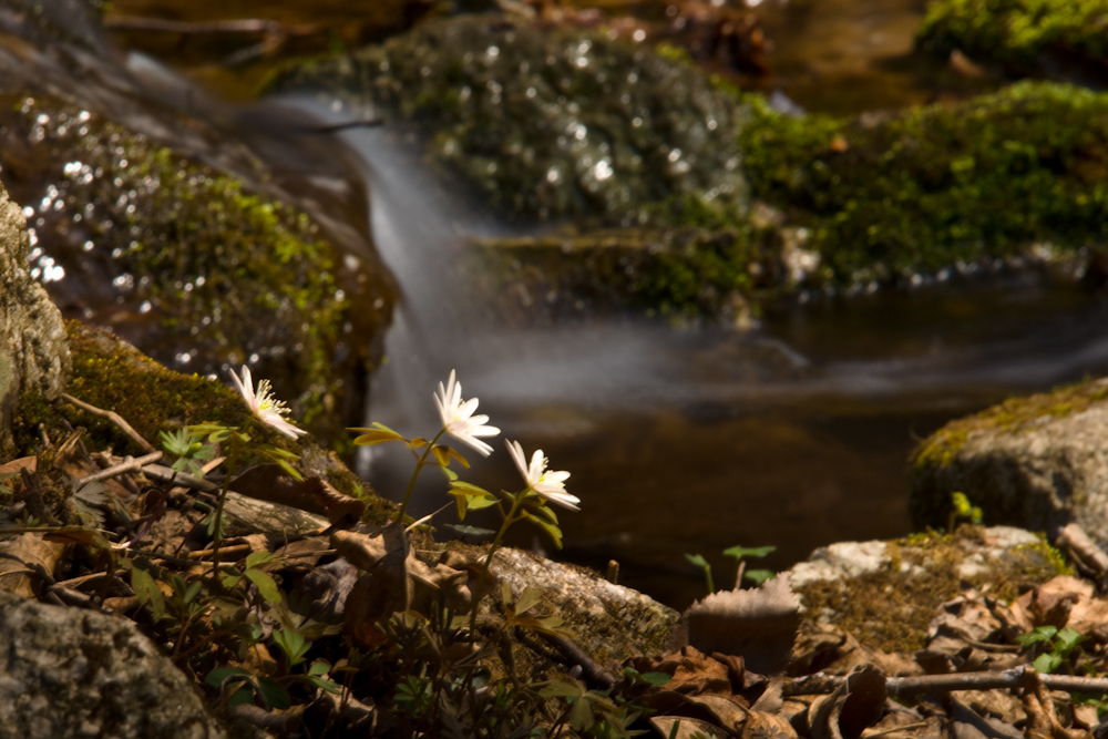 DSC04299.jpg