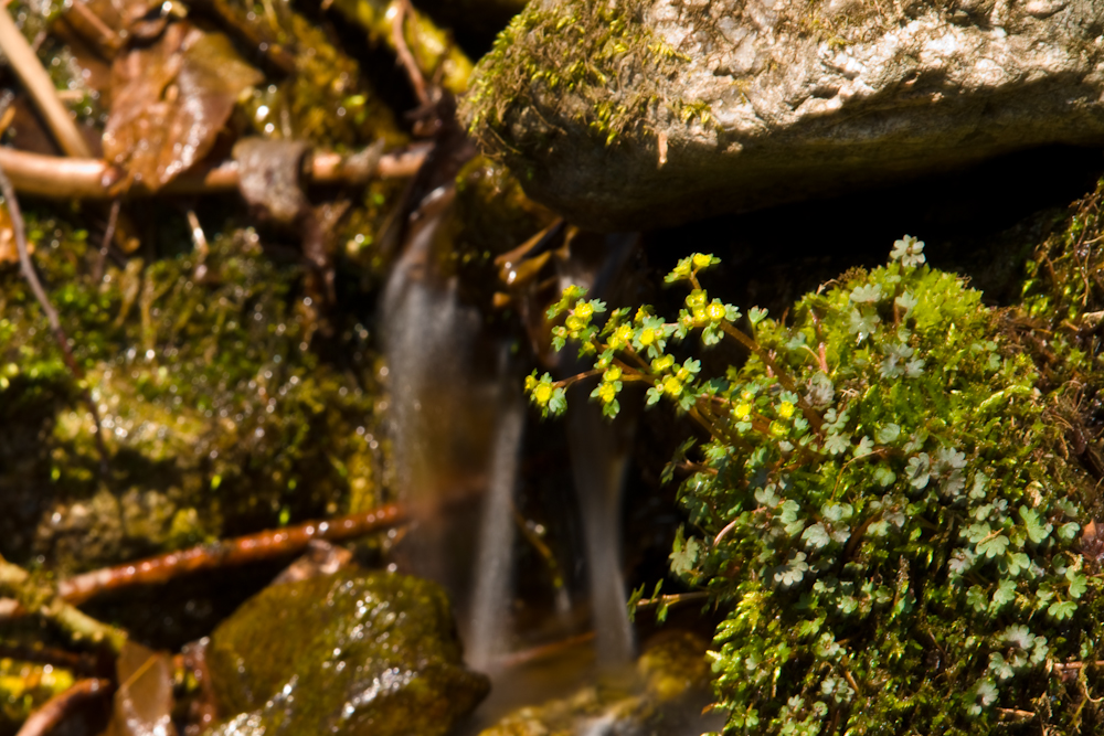 DSC04303.jpg