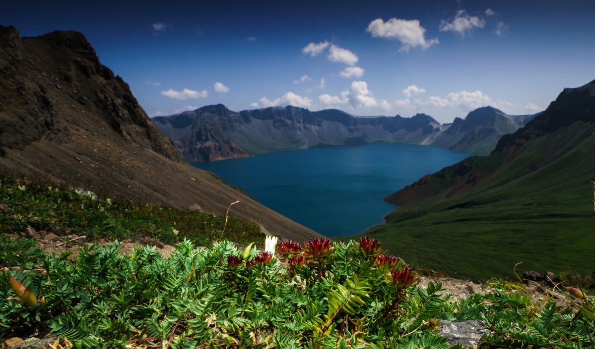 DSC02387-2.JPG