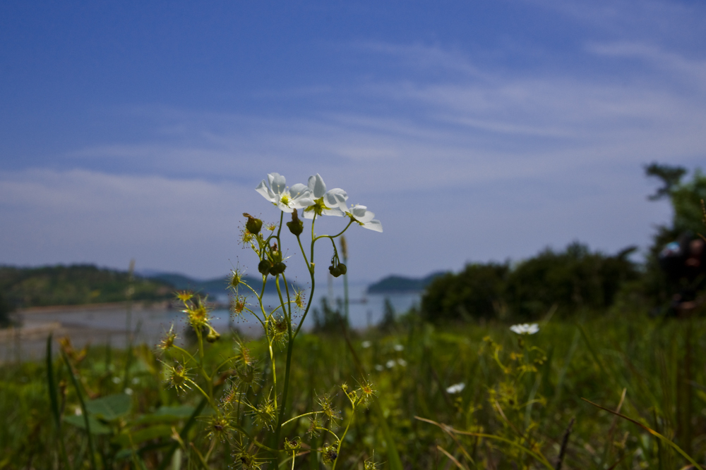 DSC06545-1.jpg