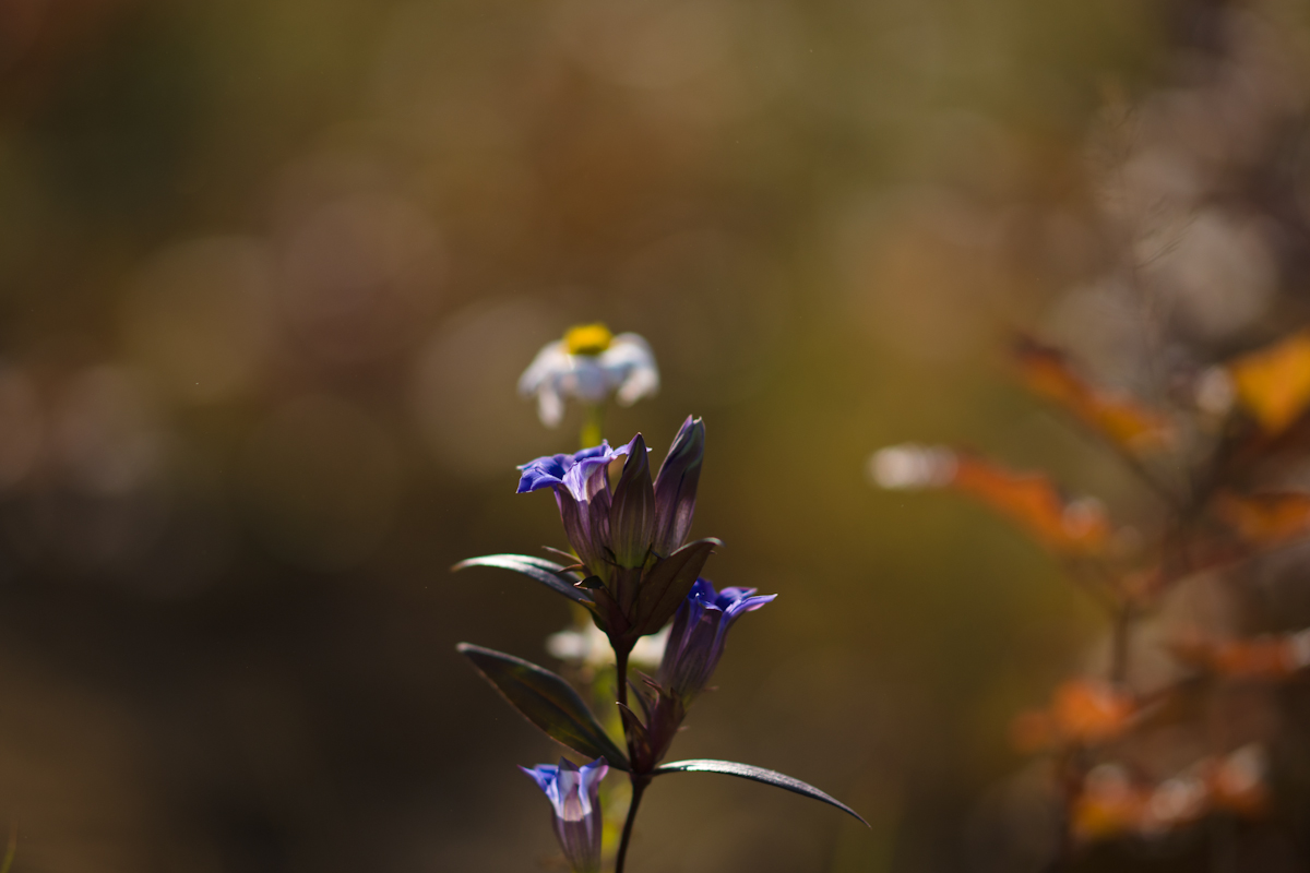 DSC06773.jpg