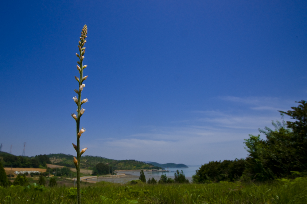 DSC06555-1.jpg