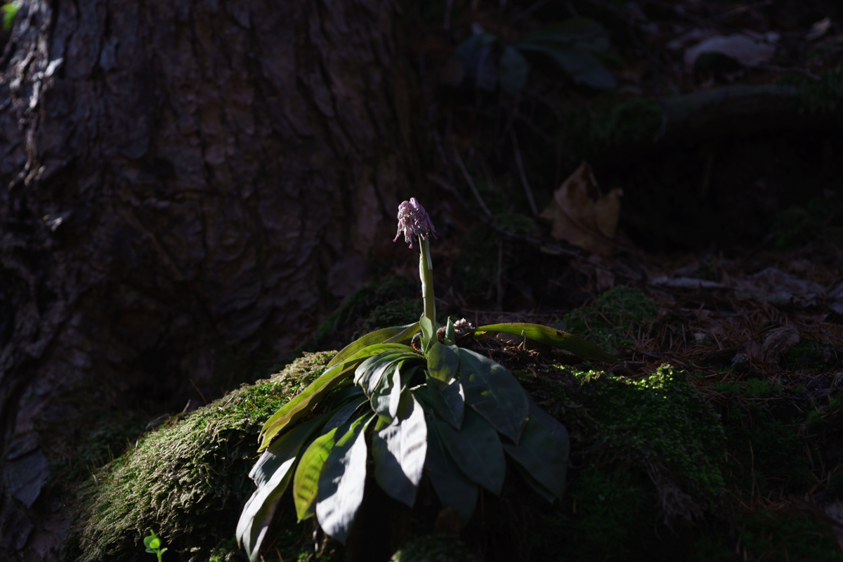 DSC05513.jpg