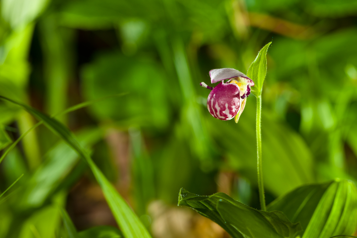 DSC07503.jpg