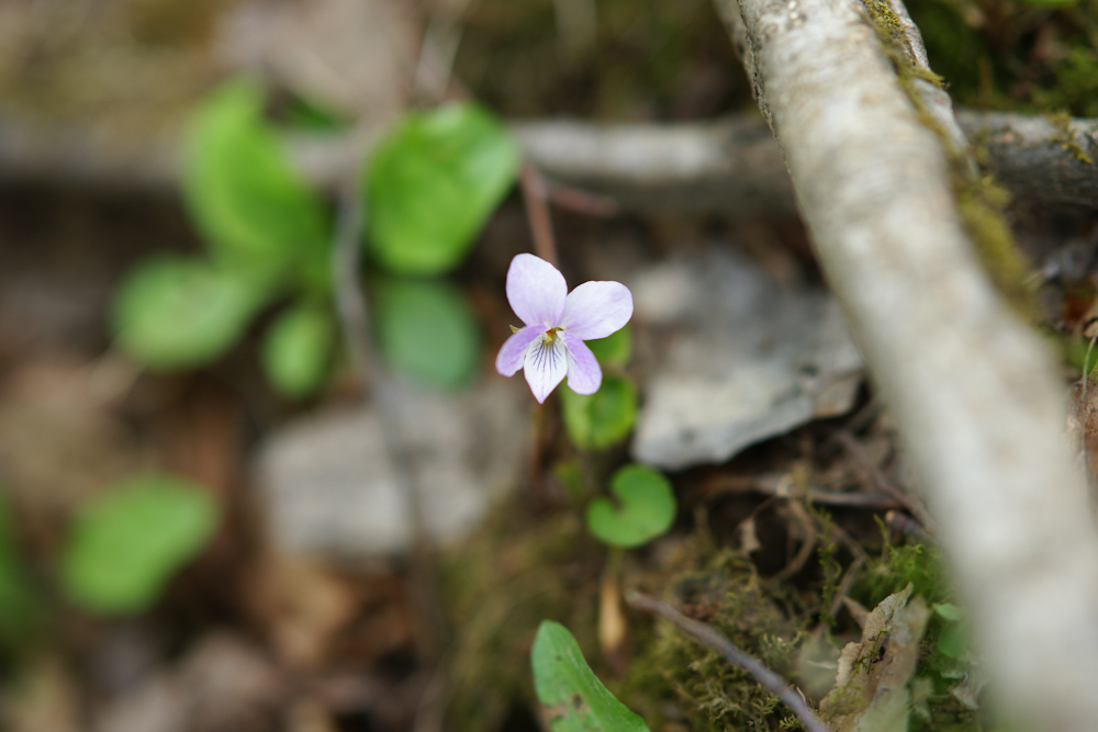 DSC05760-1.jpg