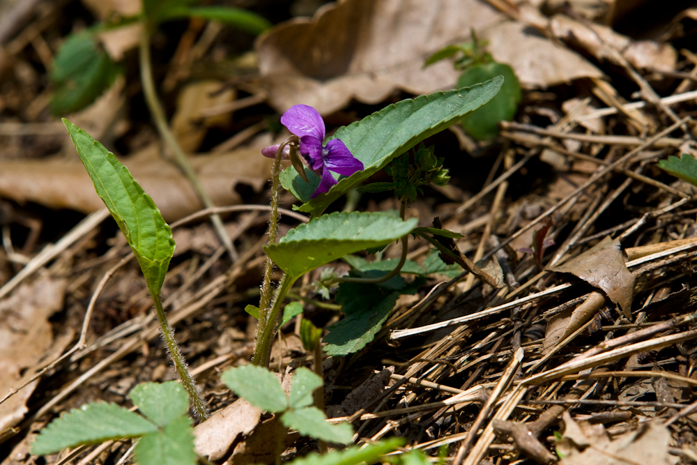 DSC05056.jpg
