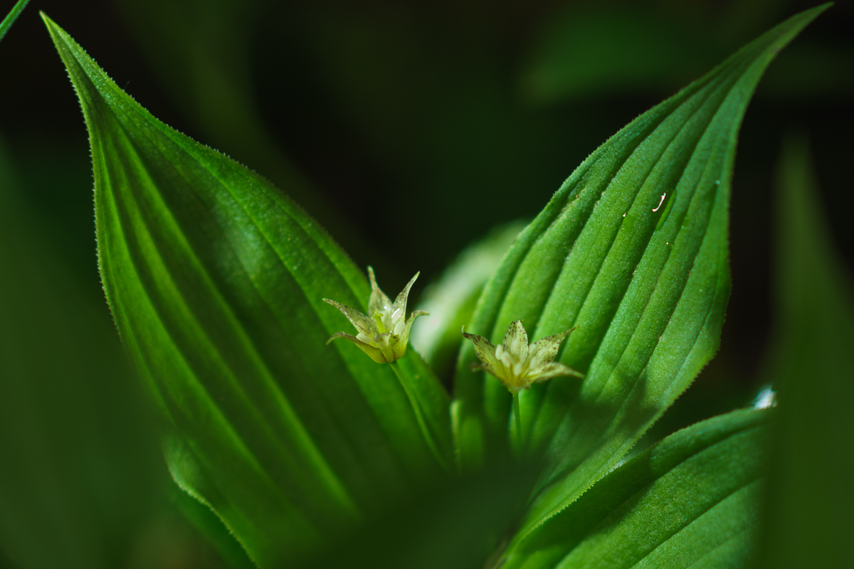 DSC00410.JPG