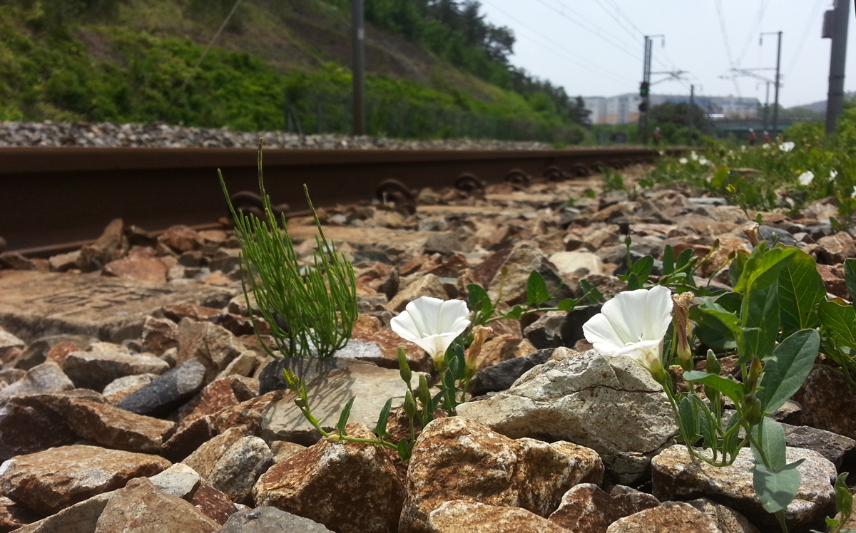 20140526_133230.jpg