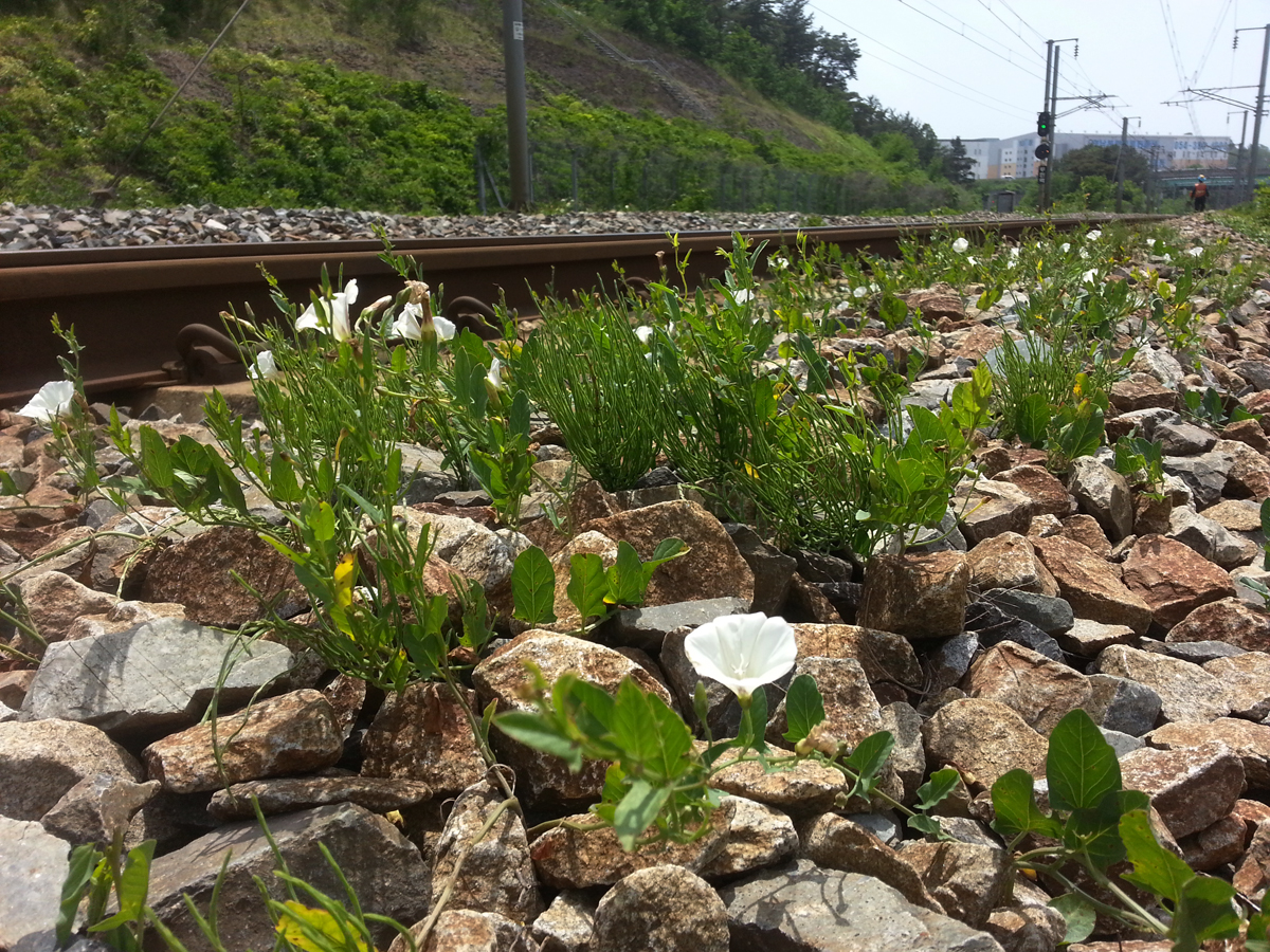 20140526_133211.jpg