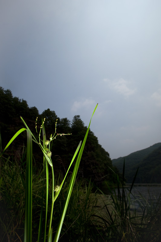 IMG_0875.jpg