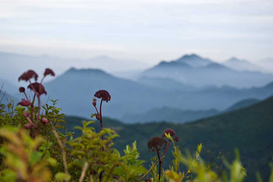 DSC08086.jpg
