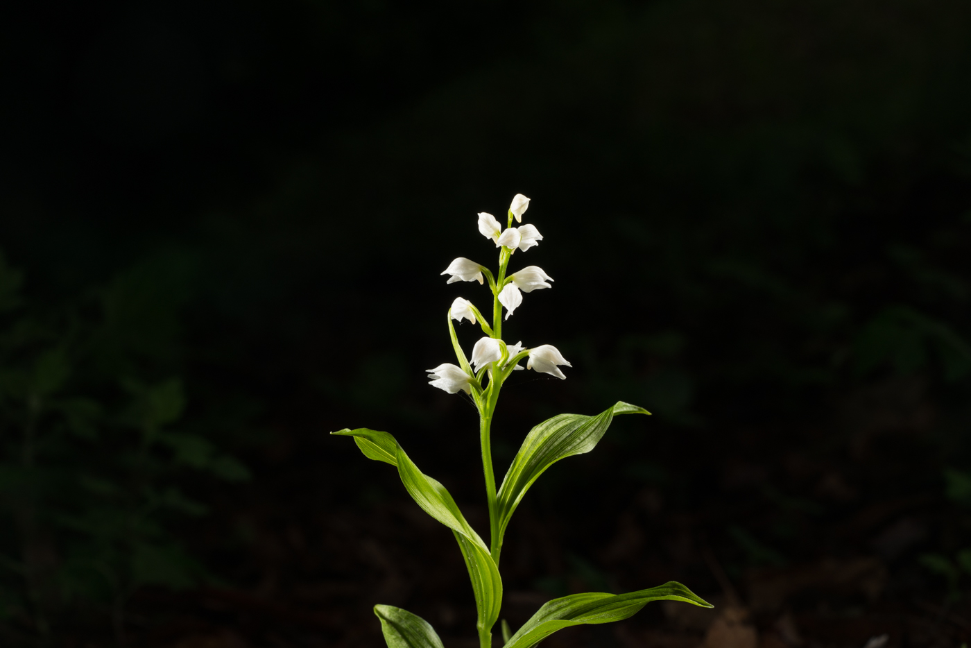 YDY07403.jpg