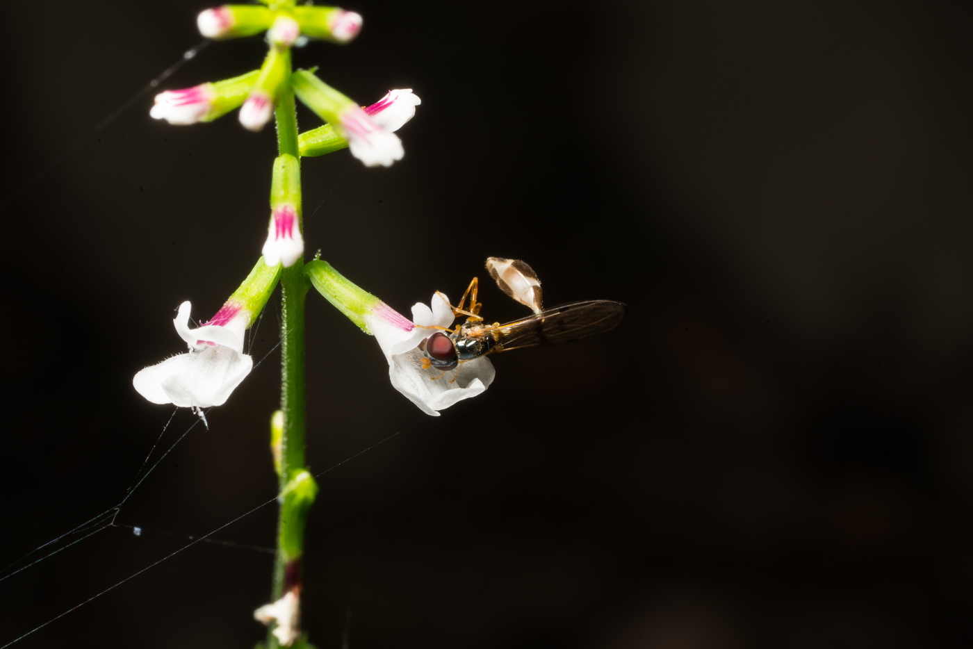 YDY09052.jpg