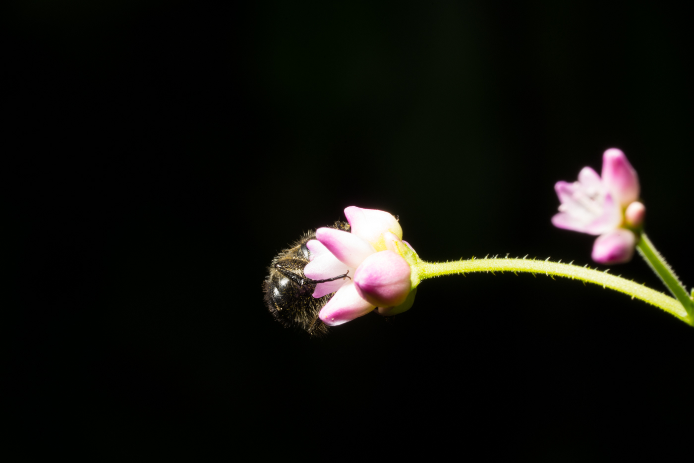 YDY09108.jpg