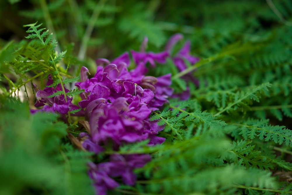 DSC05413.jpg