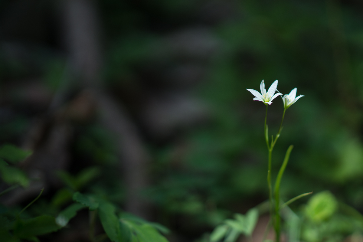 DSC09168.jpg