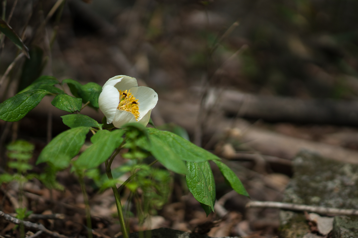 DSC09153.jpg
