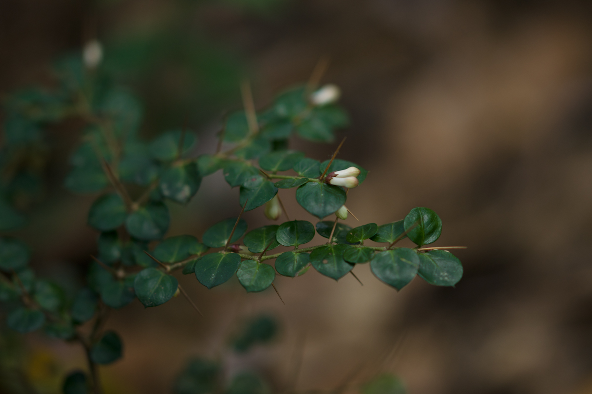 DSC04567.jpg