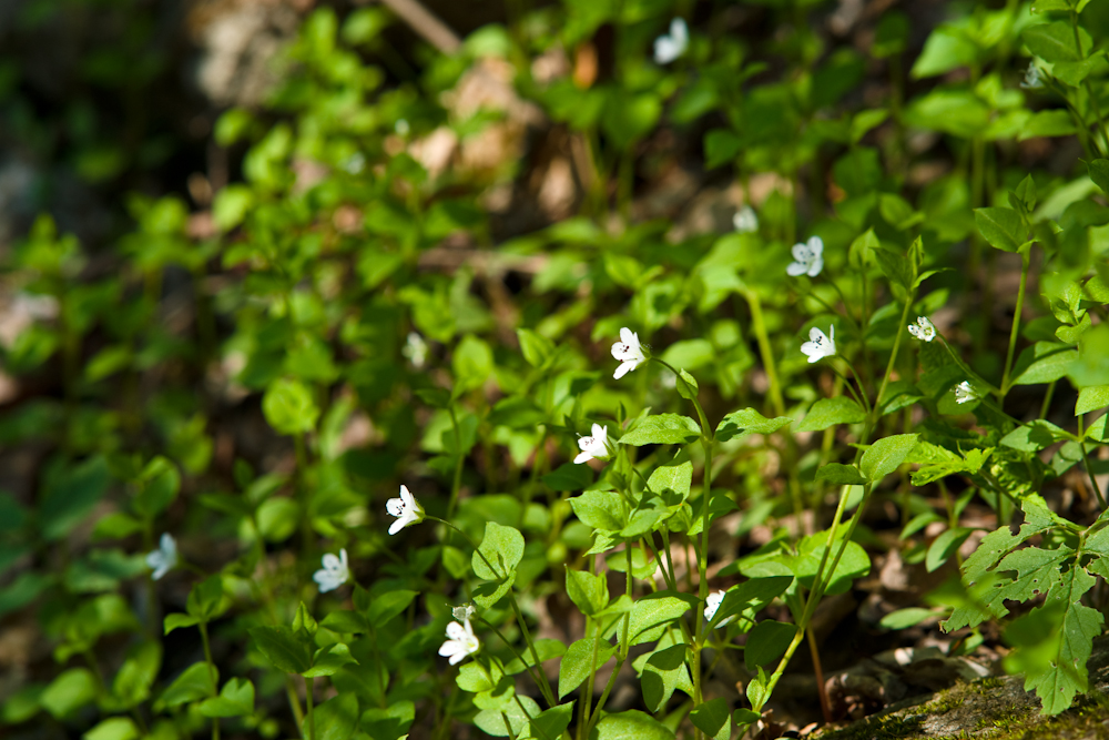DSC05479.jpg
