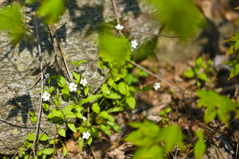 DSC05502.jpg