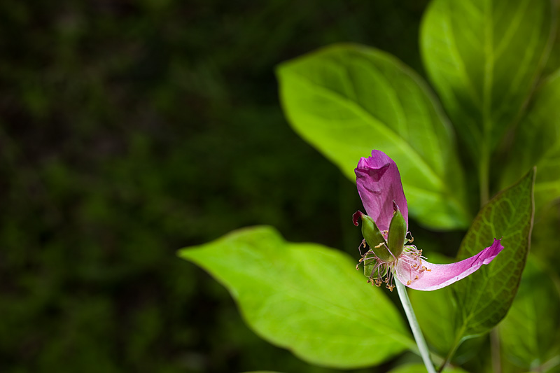 IMG_6907.jpg