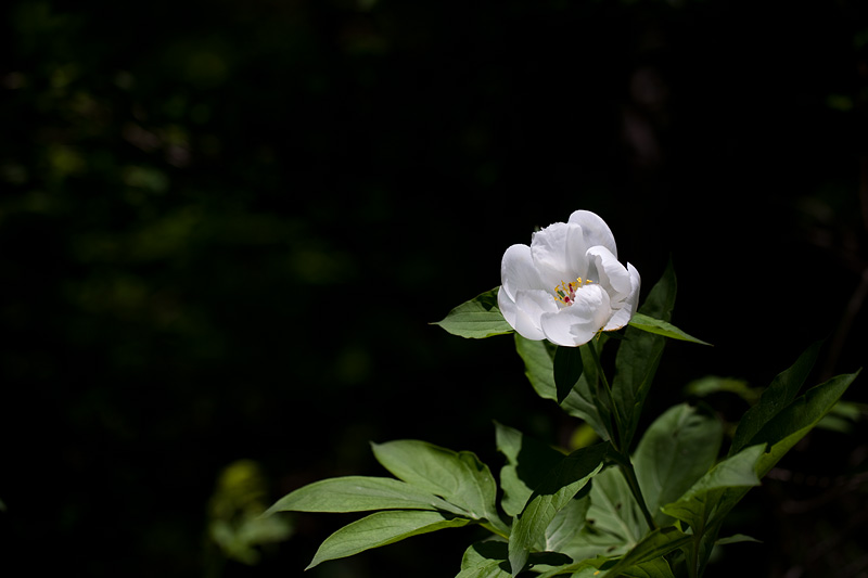 IMG_7836_01.jpg