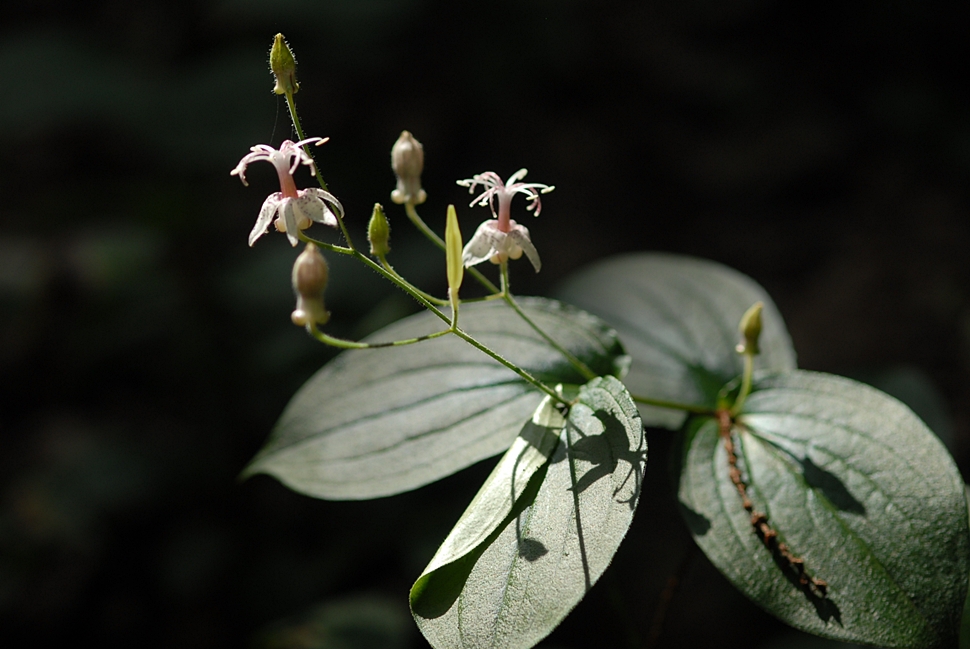 DSC_0319.JPG