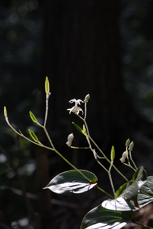 DSC_0164.JPG