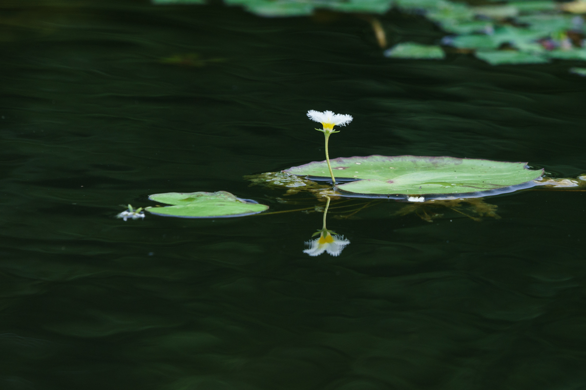 DSC02107.jpg
