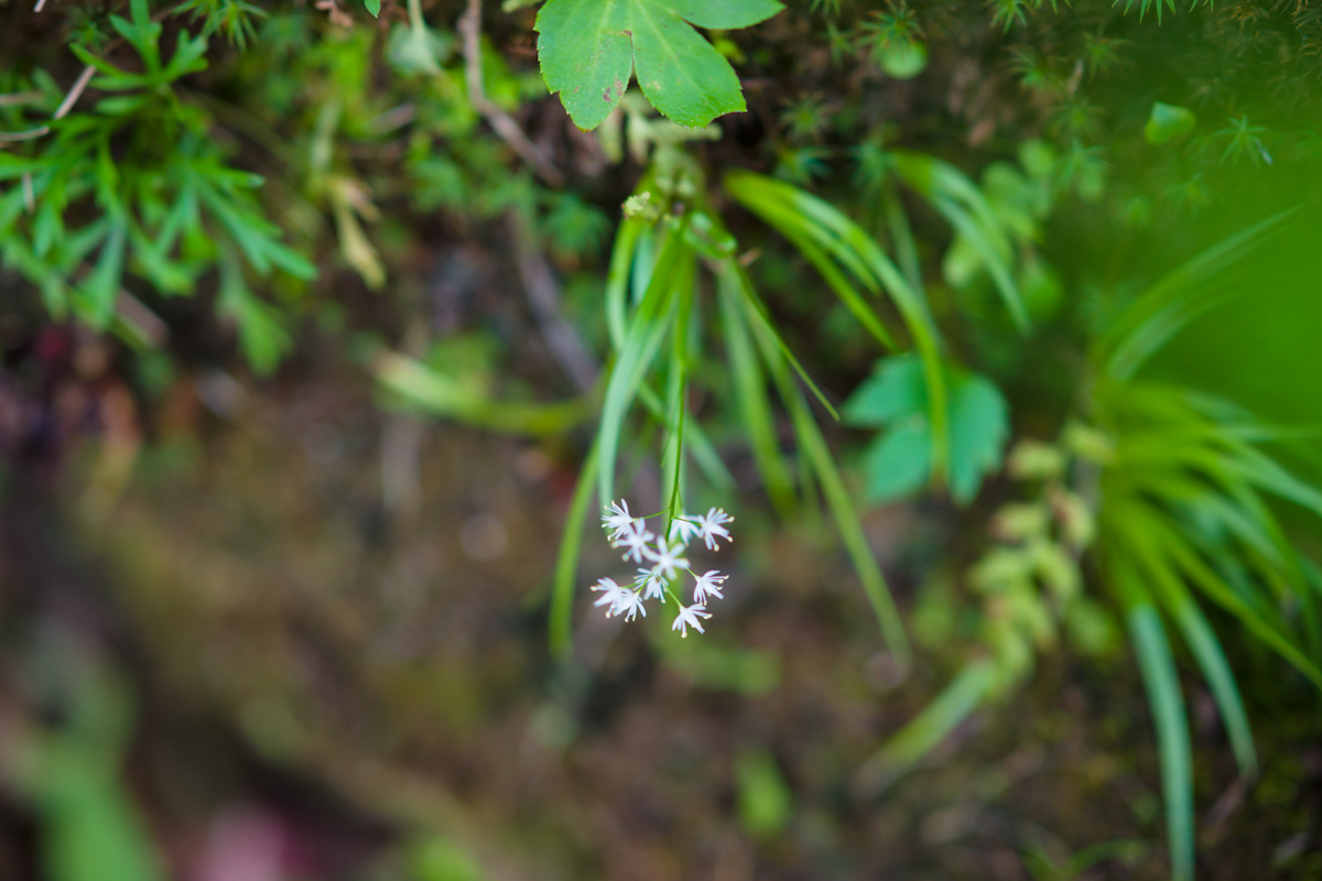 DSC09709.jpg