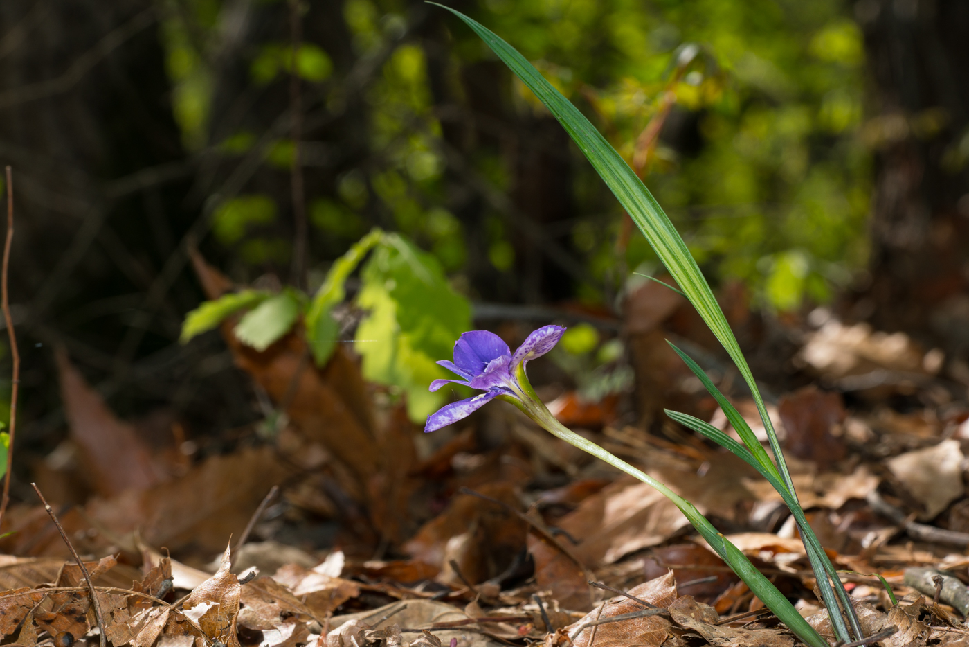 YDY02059.jpg