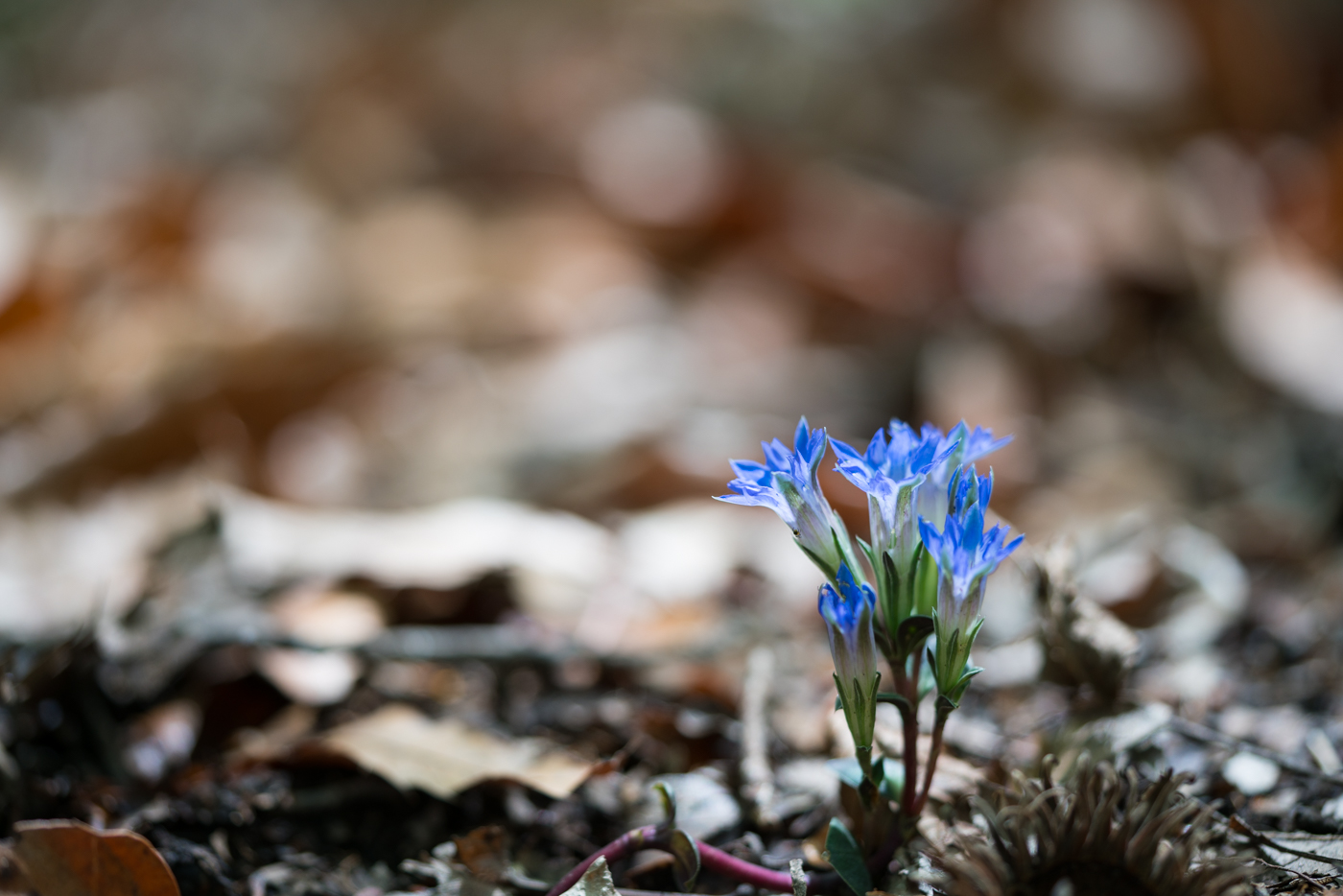 YDY02132.jpg