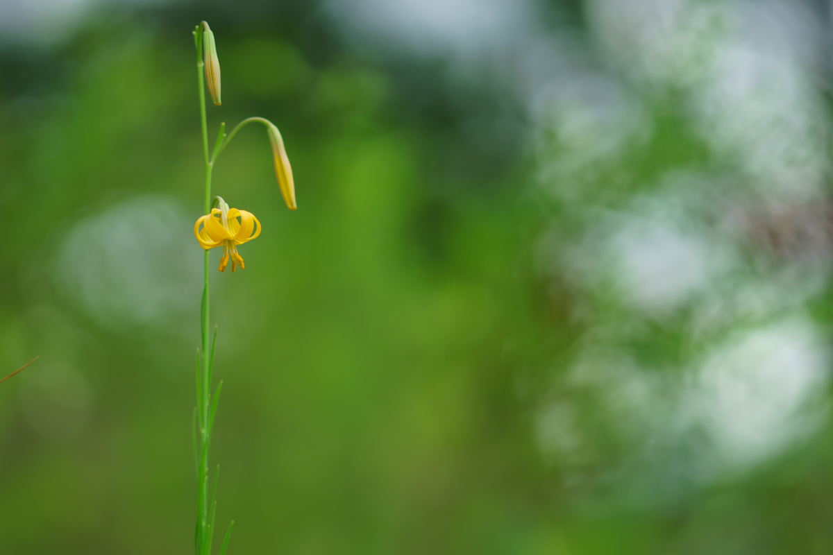 DSC07286-2.jpg