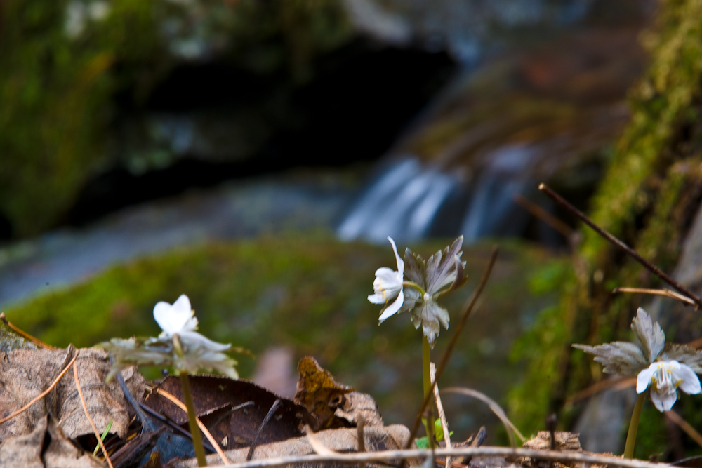 DSC02543.jpg