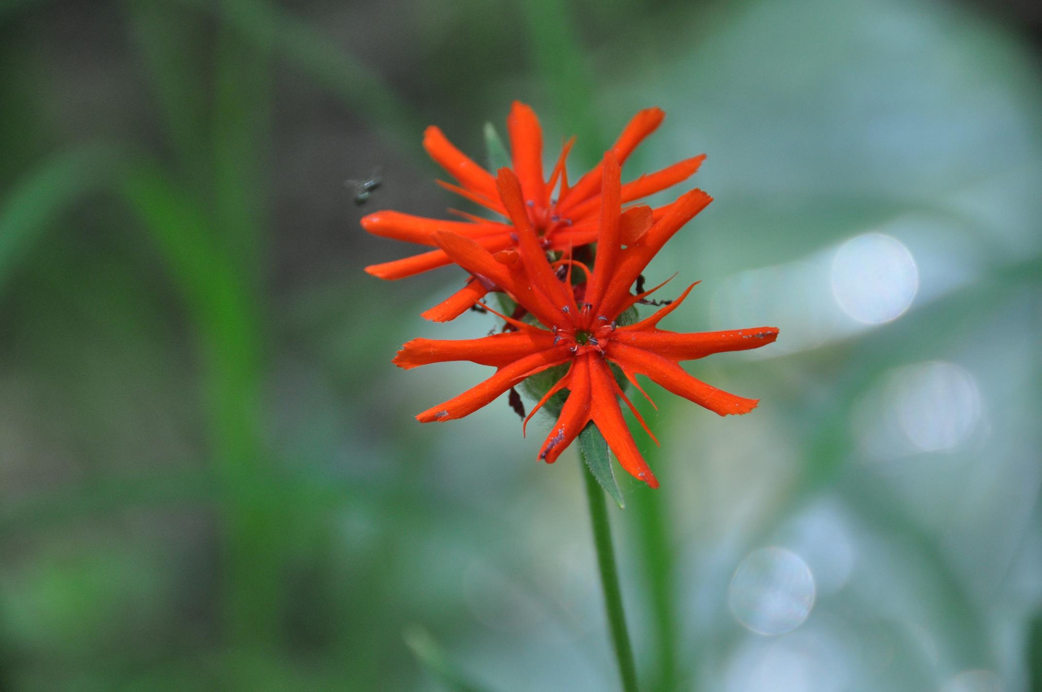 DSC_0543.JPG
