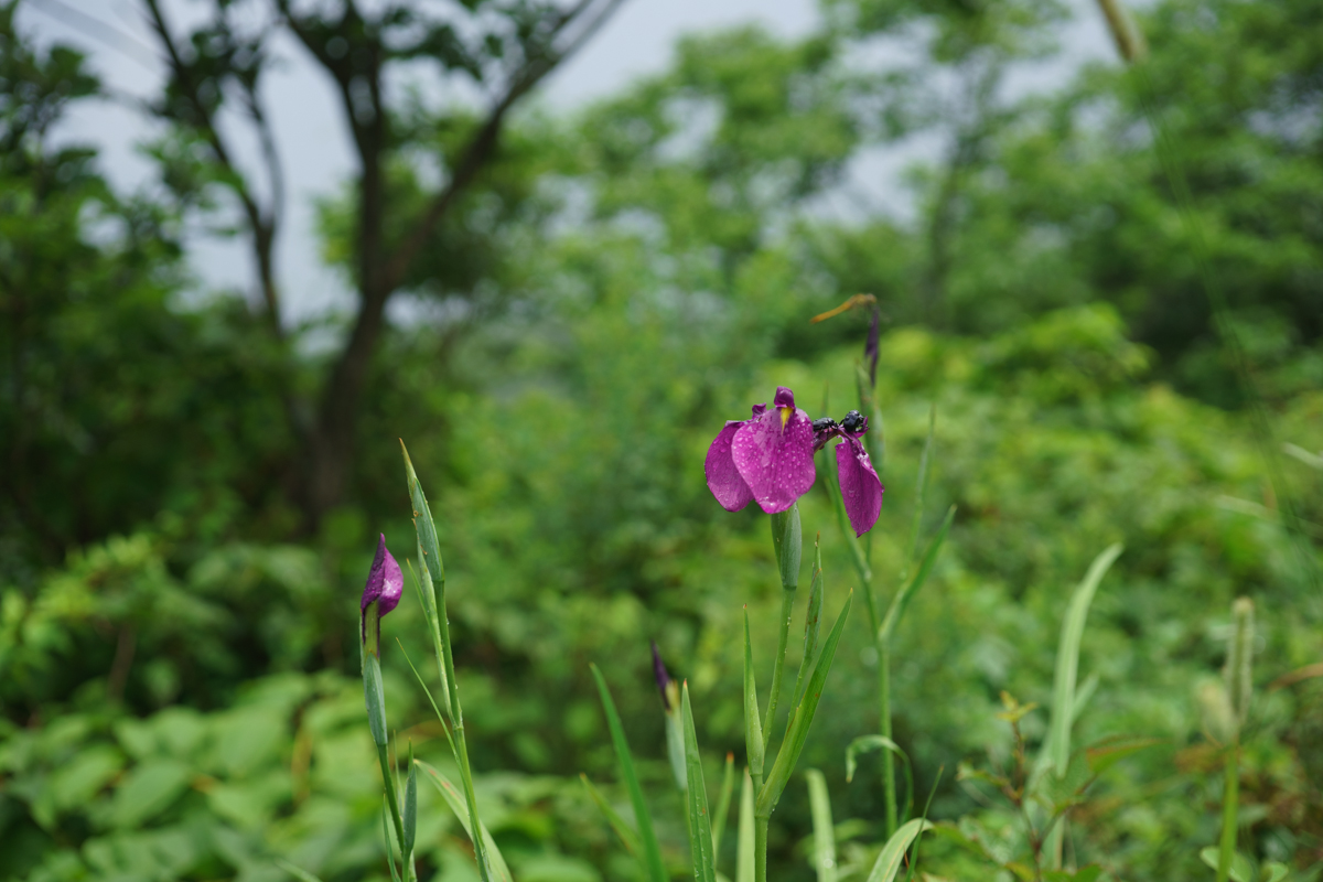 DSC07083.jpg