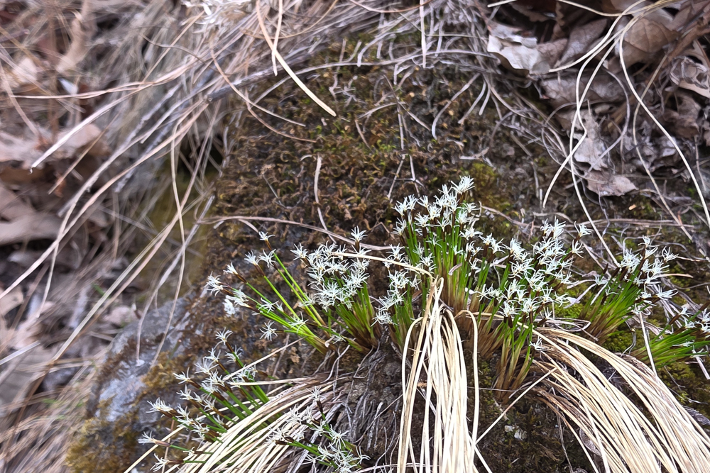 20250329_120910.jpg