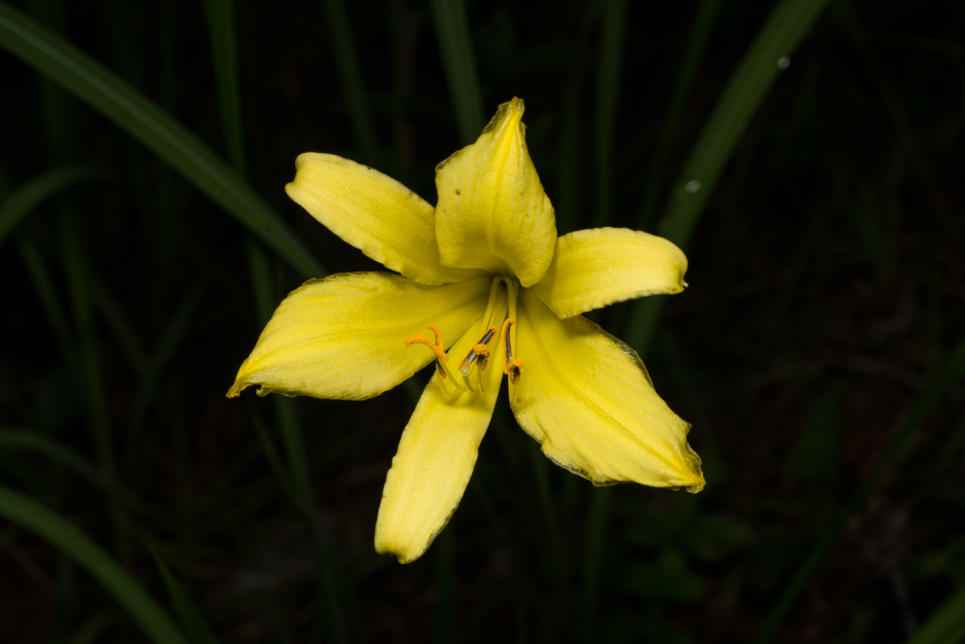 YDY09145.jpg