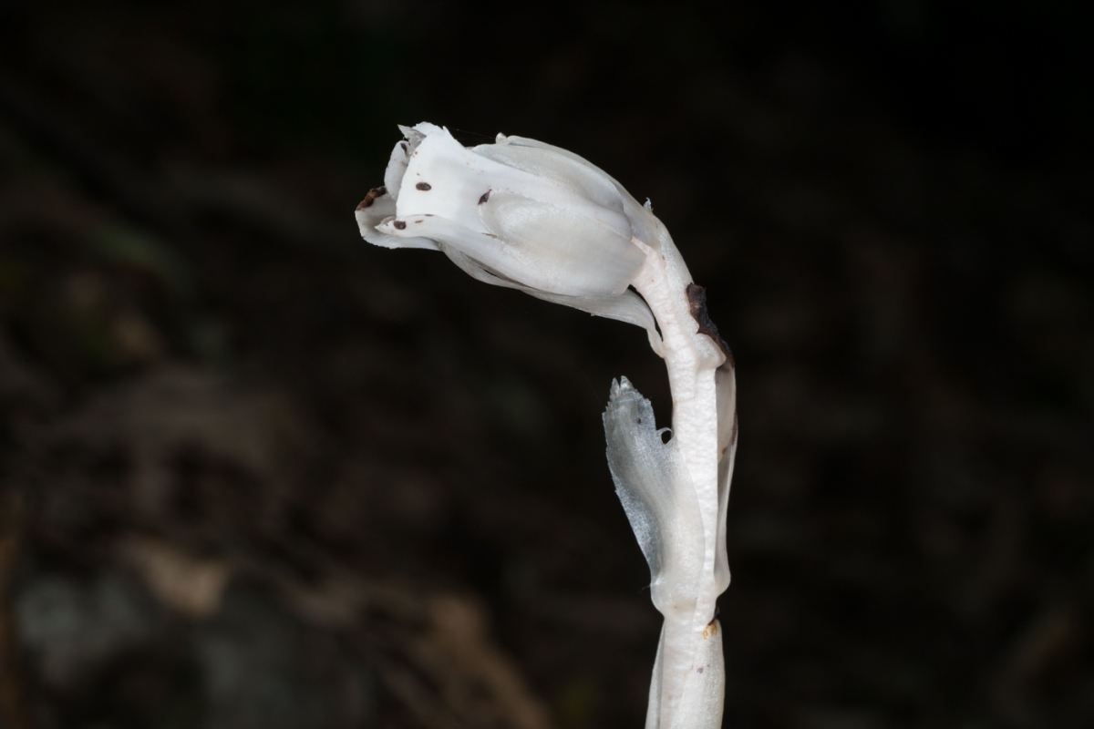 YDY06624.jpg
