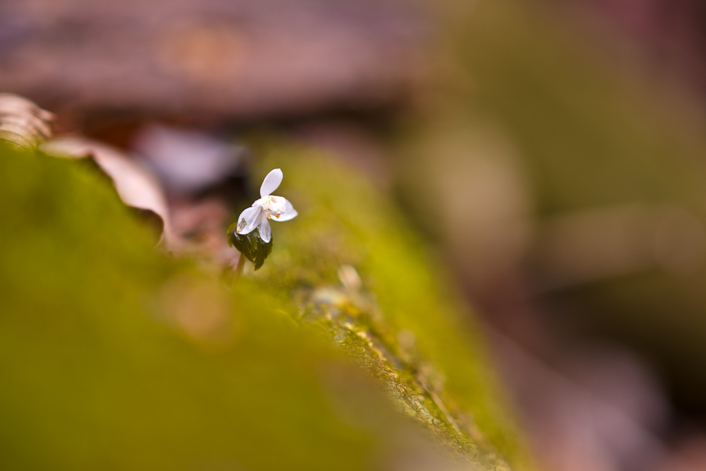 DSC02457.jpg