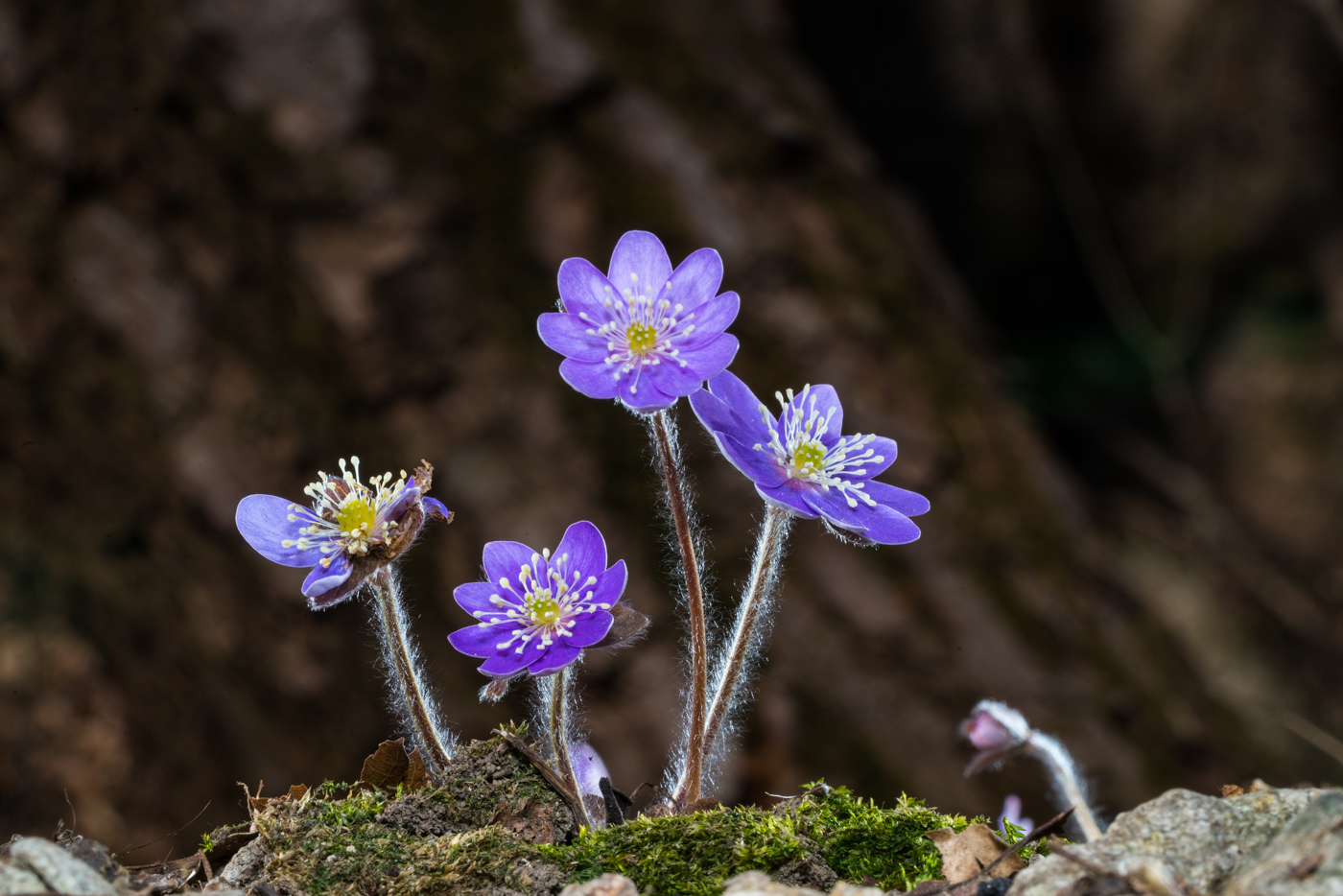 YDY05157.jpg