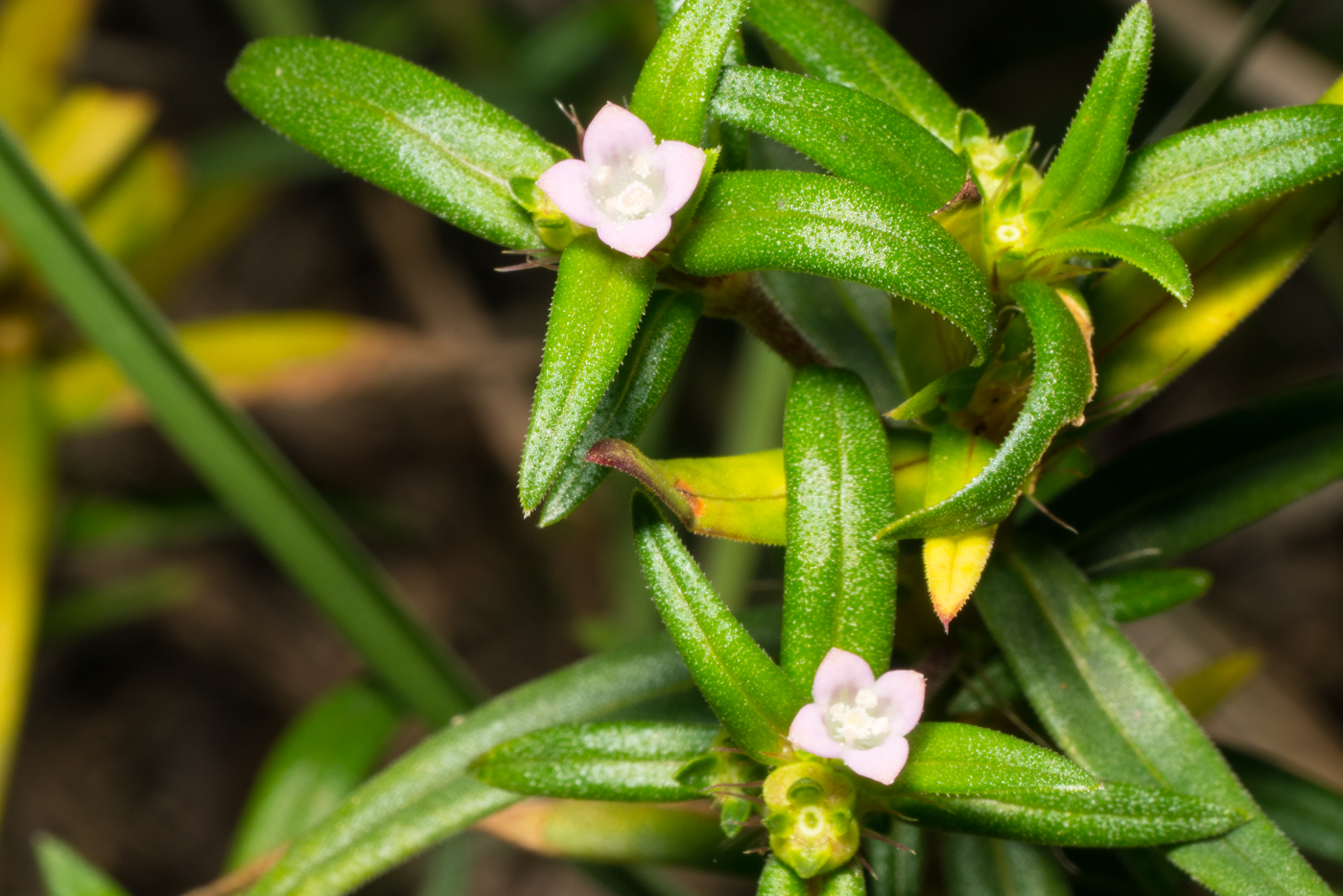 YDY01395.jpg