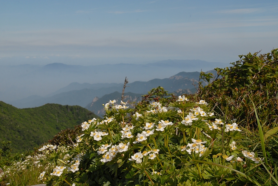 DSC_0167.JPG