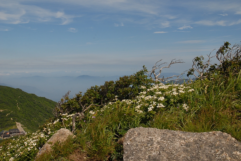 DSC_0156.JPG