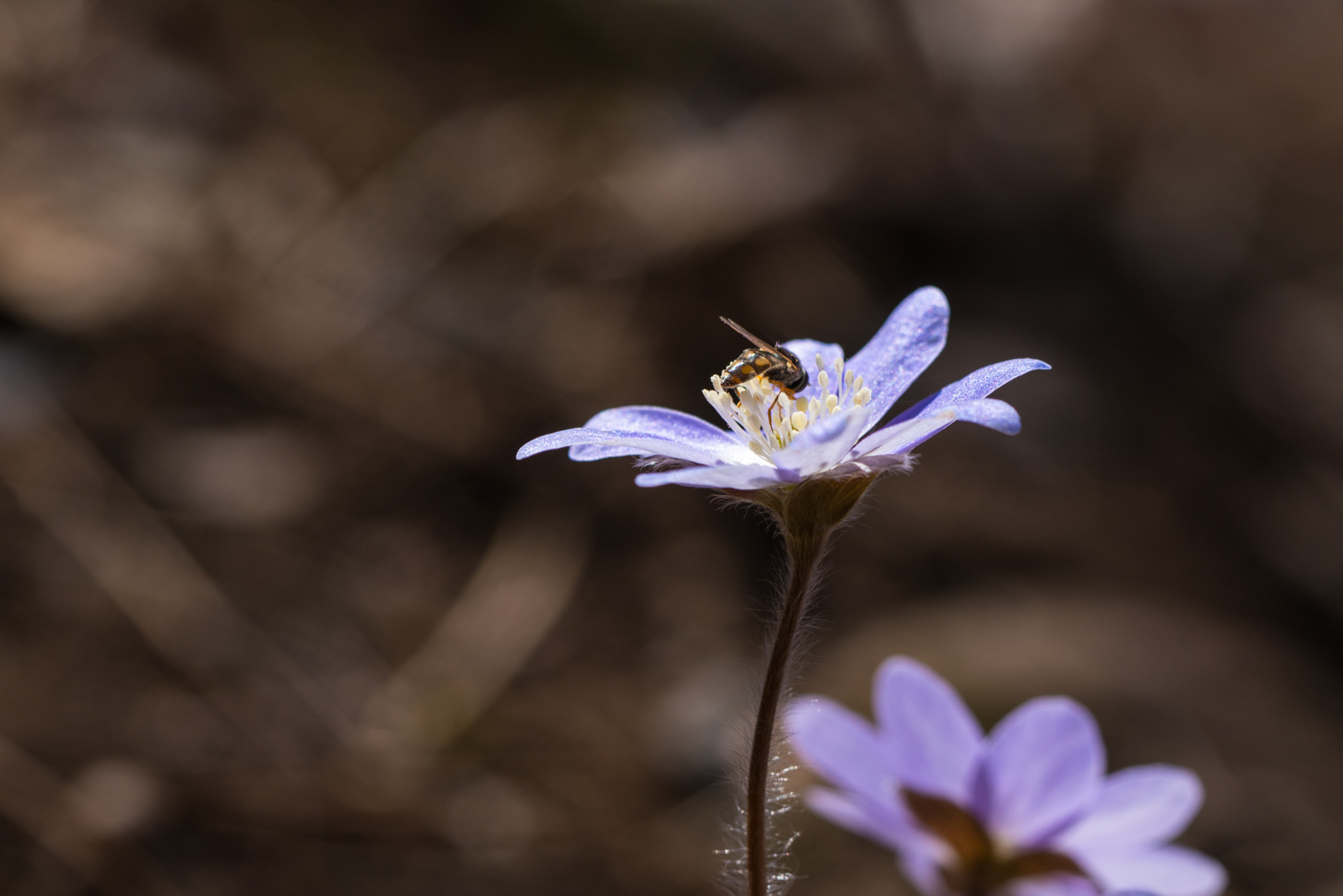 YDY04945.jpg