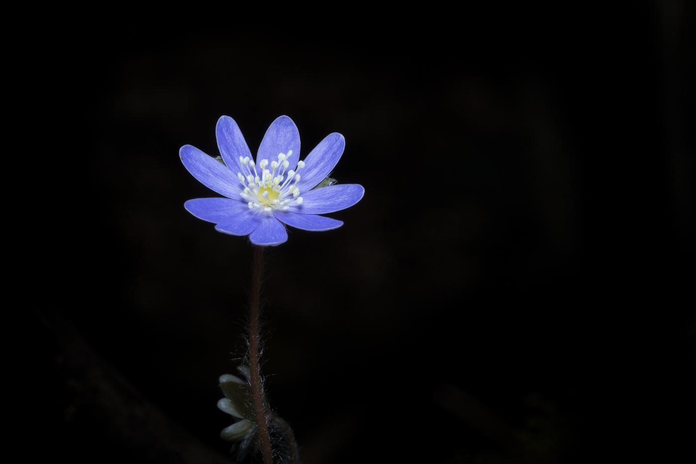 YDY04989.jpg