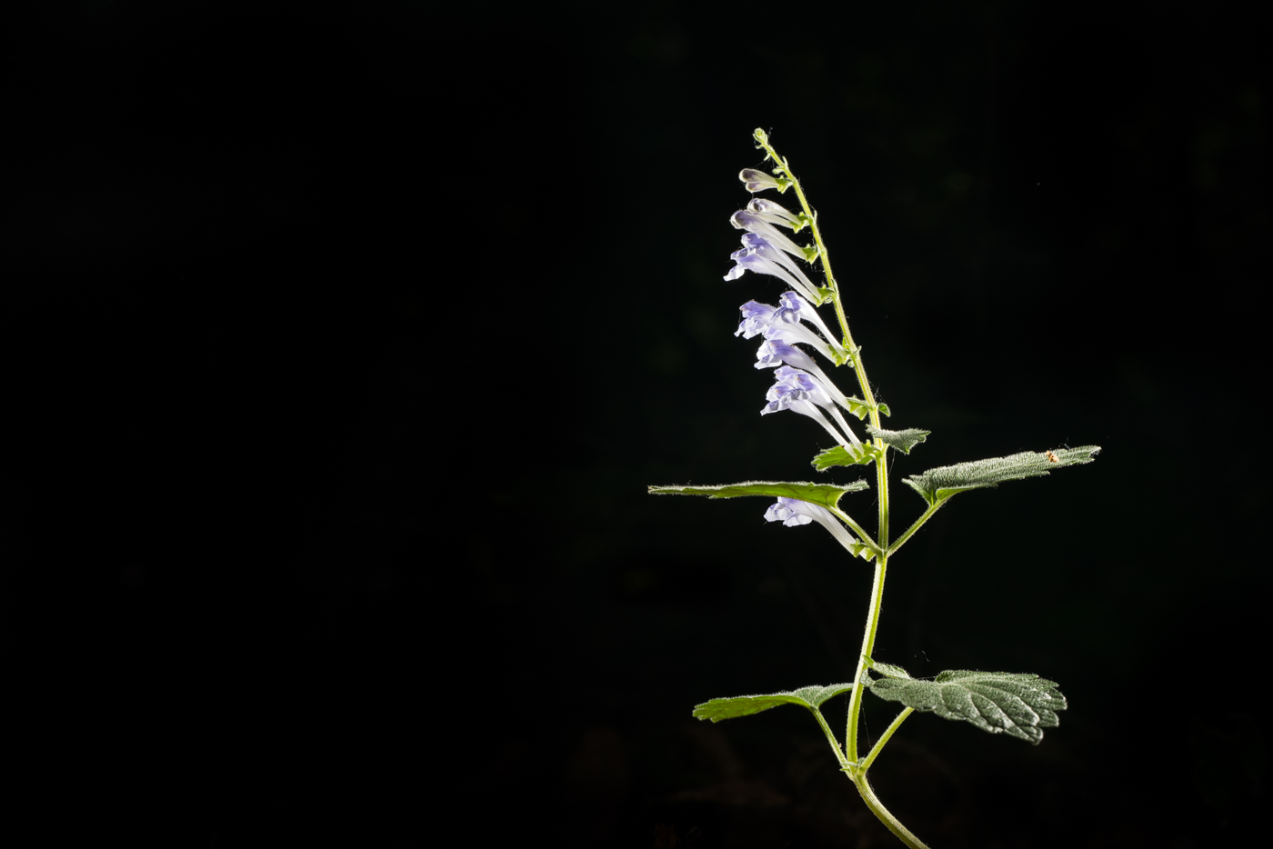 YDY07645.jpg