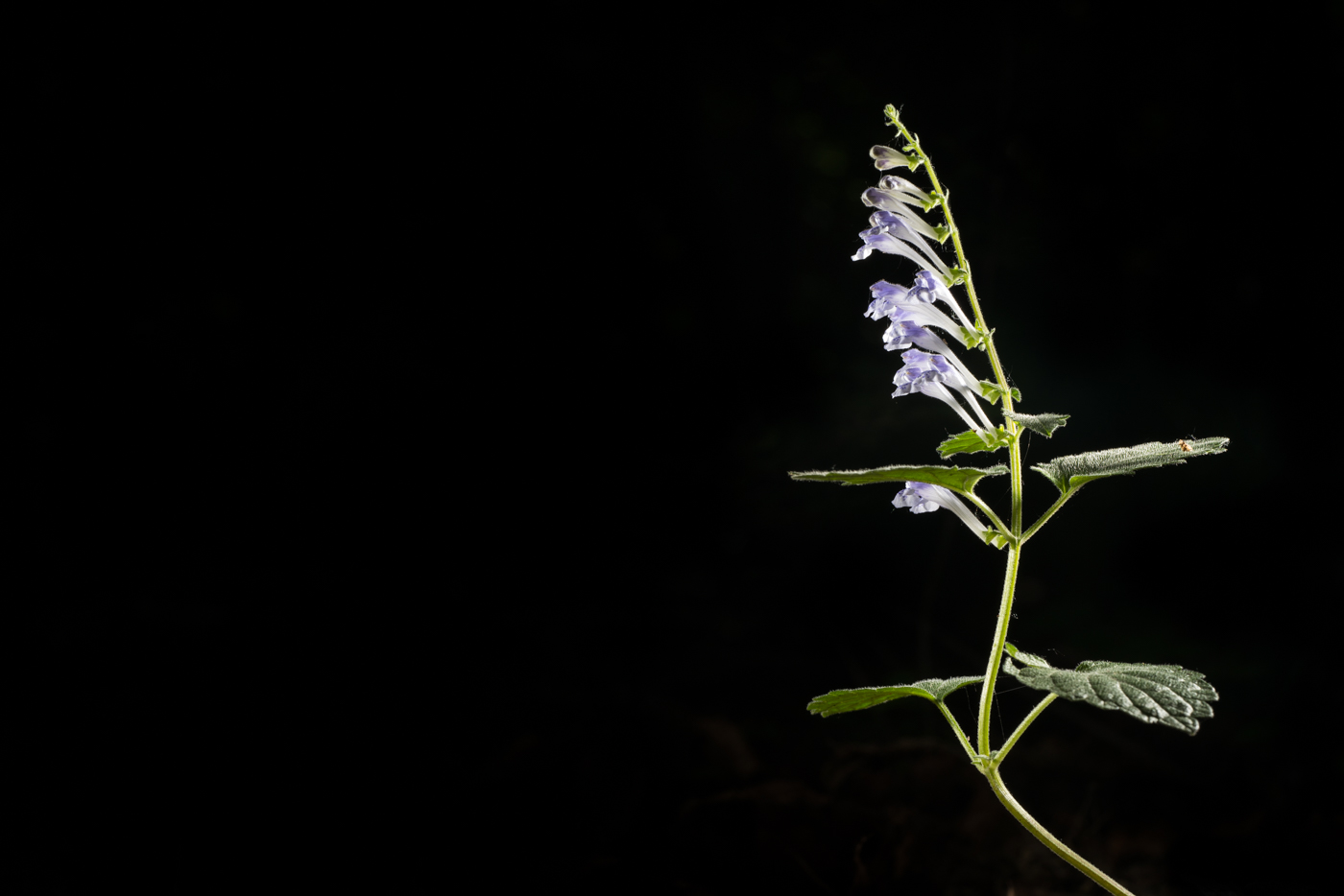 YDY07654.jpg