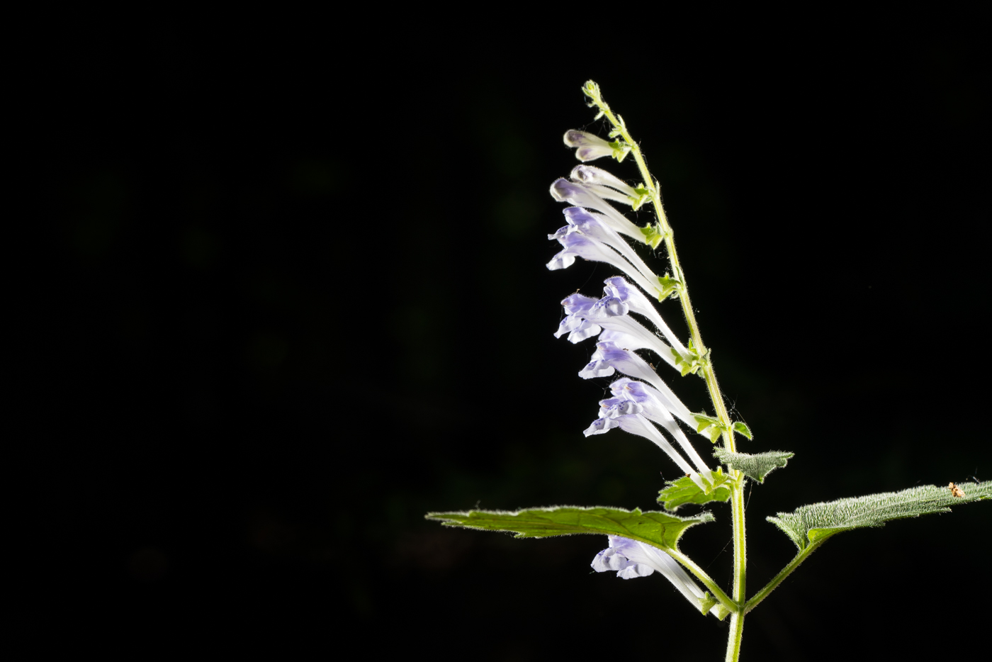 YDY07640.jpg