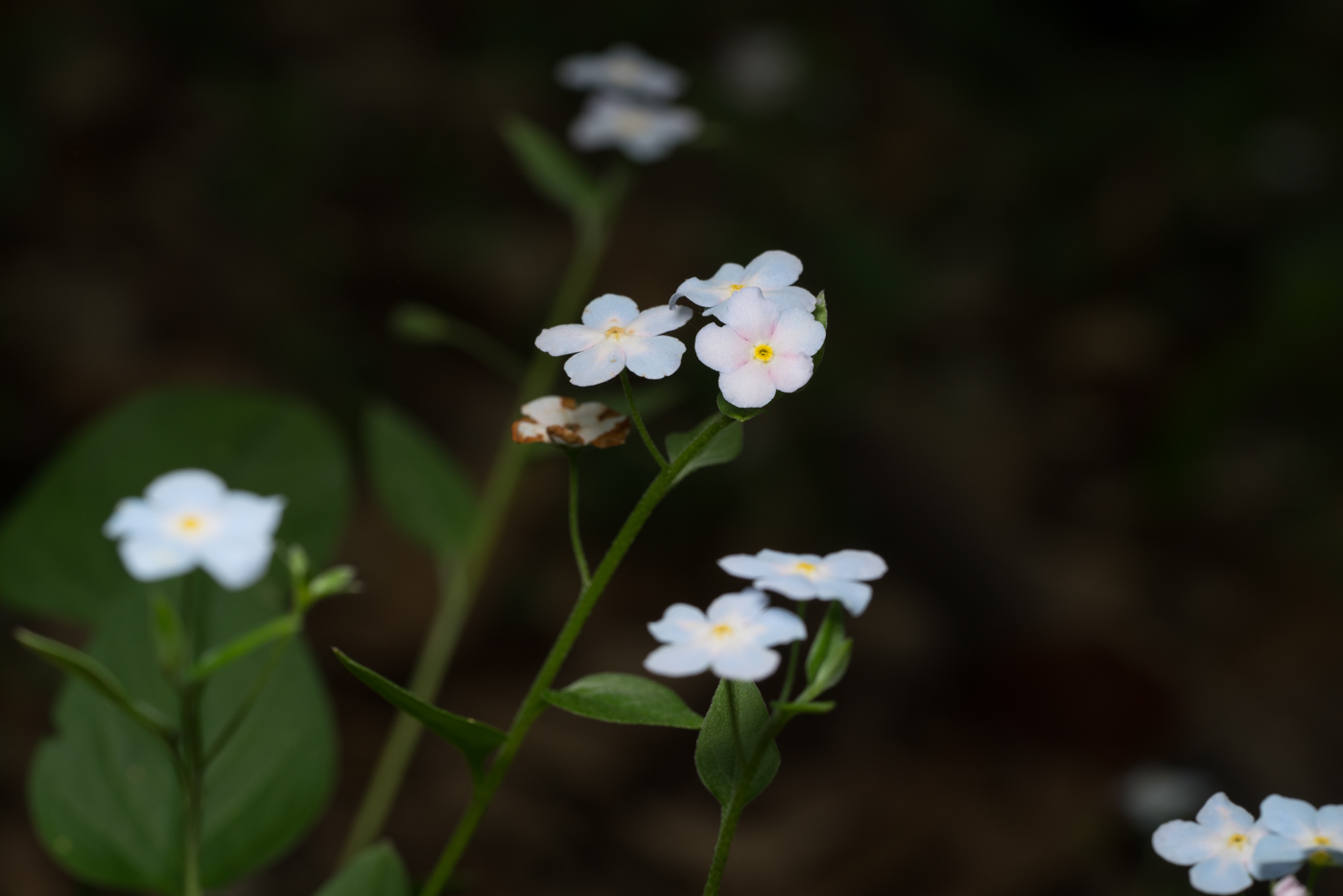 YDY02235.jpg